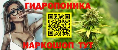 сатива Краснодар