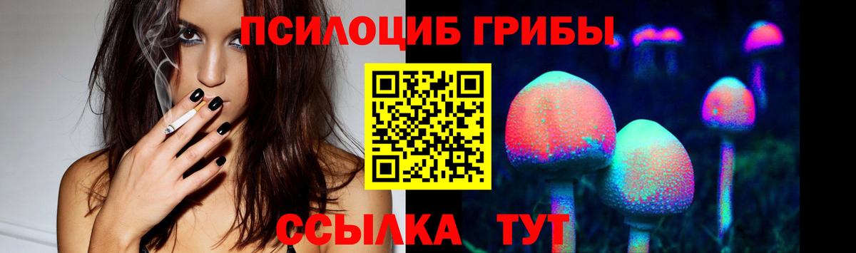 Псилоцибиновые грибы Cubensis  Вход с VPN  Электрогорск  Галлюциногенные грибы прущие грибы 